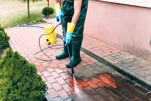 Animal Enclosure Cleaning in Kennedy, CA